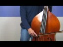 Advanced Upright Bass Lessons : Advanced Upright Bass: Slurring Notes on E String