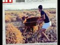 القبض على هارب