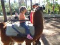 Emma Rides a Crazy Llama