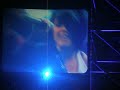 angy  40 primavera pop