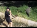 Crocodile Copley Crocodile Copley