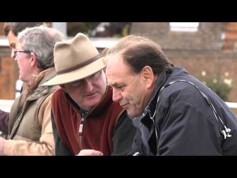 Tattersalls December Sale Preview