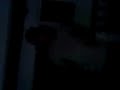 kikiri kikiri que le haga