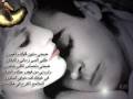 حبيب الدنيا - بشار الشطي