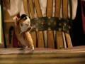 videos de Adam Sandler leaked clip from Bedtime stories