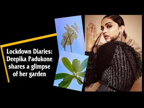 Lockdown Diaries: Deepika Padukone shares a glimpse of her garden 
