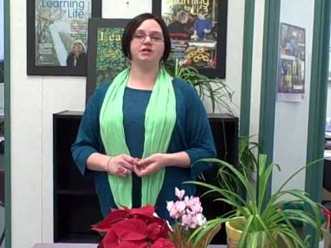 General Interest - Learn more about registering for Winter and Spring General Interest Courses with the Continuing Education Department at the OCDSB. From flower arranging to c...