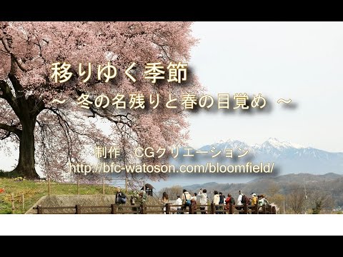 動画