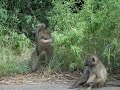 Sudafrica Sudafrica