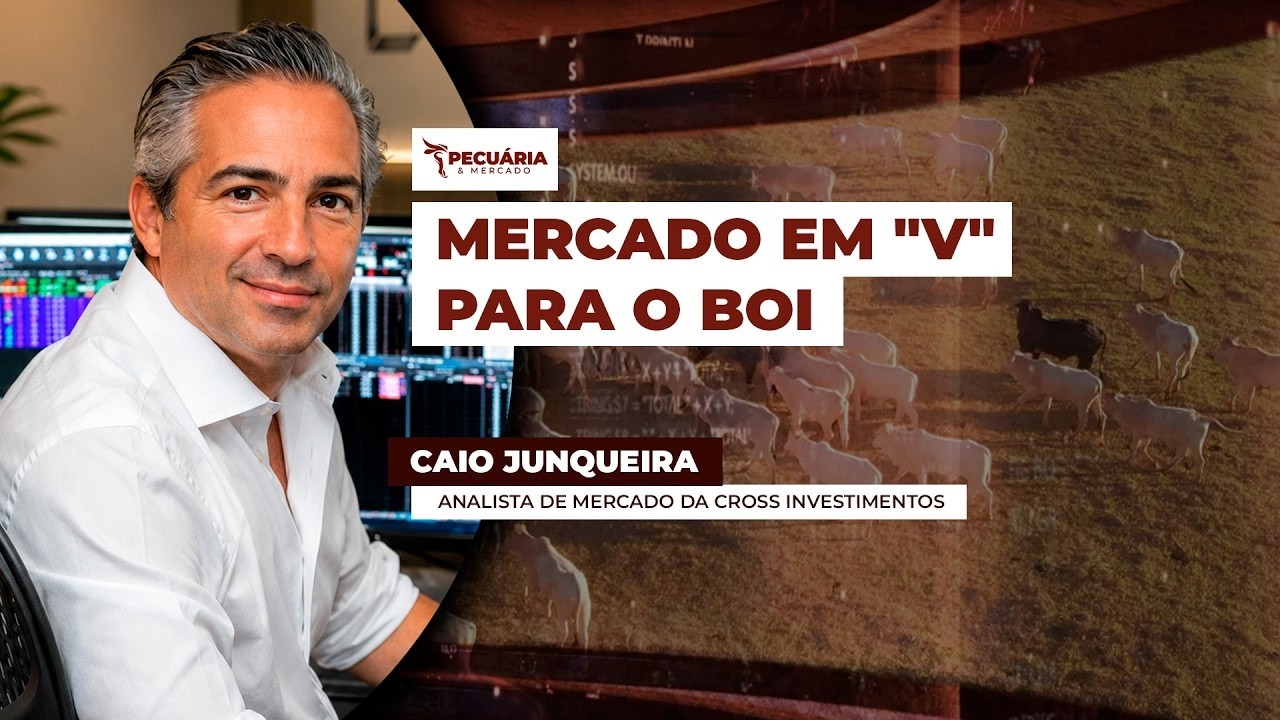 Cenário para o mercado do boi é de pressão pontual nos preços, mas com retomada das altas no...