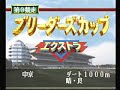 ?????D1000