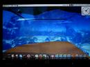 Ubuntu 7.10+Compiz 3D+AWN+Cube Atlantis show12
