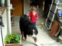 My brother playing with my dog