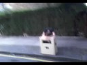 Carrying amps to The Hope And Anchor Islington