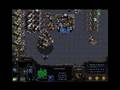 silly starcraft :P