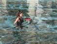 Swimming-Pool-Poker