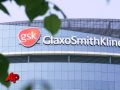Swine Flu Vaccines Pulled From Canada