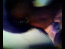 thaisinh�  e naty2