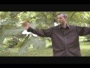 tai chi open and close, Arnold Arboreteum , Jamaica Plain,MA