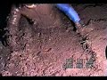 Beavertail wetsuit in deep farm mudpit 2