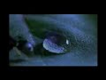 Kruder und Dorfmeister Besttime Visuals