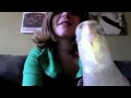Cockatiel Spike sings tequila