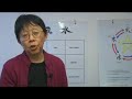 Feng Shui Basics : Feng Shui Colors Feng Shui Basics : Feng Shui Colors