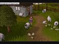 RuneScape: Pretty Woman?
