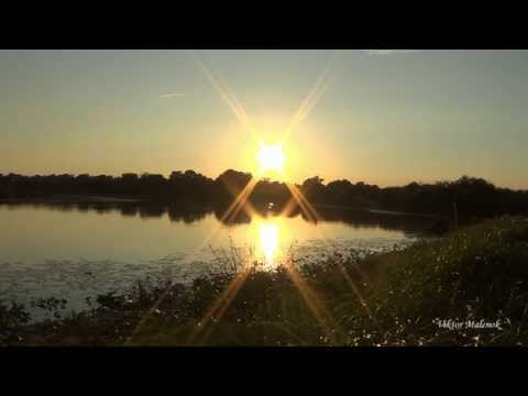 Смотреть видео Смотреть видео