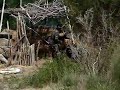 Paintball War - Zona liberada. Rawson - The Kenos vs K.K.K