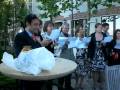Oratie van Michael Faure 12-06-09
