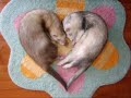 Lexter - Freedom to Love (Greek Remix) by ElectroSoft Lexter - Freedom to Love (Greek Remix) by ElectroSoft
