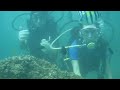 Diving in Bali 3