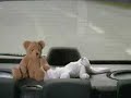 Uma Rapidinha no Carro