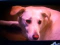 stargate-behind-the-scene.html