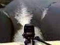 Mercury outboard 4.5 HP Full throttle