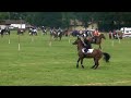 pony games tartas 2008 blacks boulets 5 drapeaux pony games tartas 2008 blacks boulets 5 drapeaux