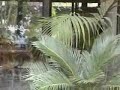 lomas de cocoyoc morelos