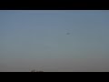 Redtail Hawking