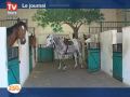 L elt Déménage, Les Chevaux Aussi ! [tours]