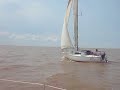 nonito-velero-y-halcon-milenario.html