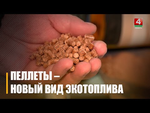 Газ, торф, электричество или... пеллеты. Спросили у специалистов насколько актуален новый вид топлива видео
