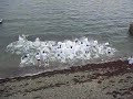 100_3048.MOV