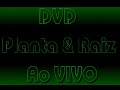 Planta e Raiz - DVD Ao Vivo  - Tô No Barato