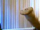 Lenny and Lil Floppy - Welcome U 2 Da Hood Lenny and Lil Floppy - Welcome U 2 Da Hood