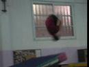 Holon LeZion- Trampoline Holon LeZion- Trampoline