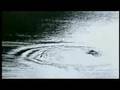 Outdoor Storytellers - Fishing on Horseshoe Lake