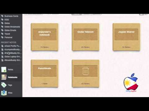 how to organize business cards