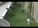 Free running