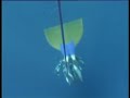 First German Freediver Crossing the \"Arch\"